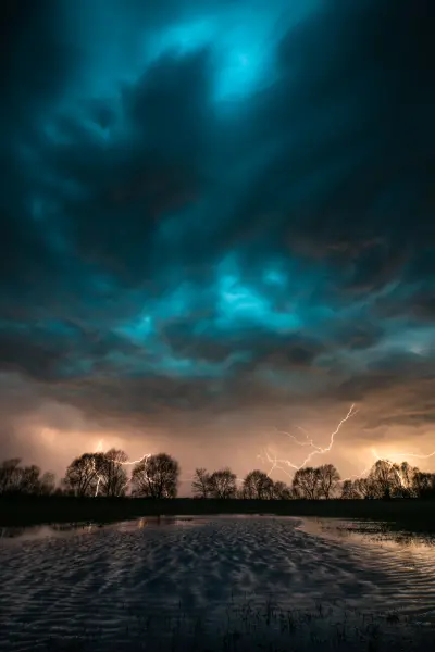 Nordic nature