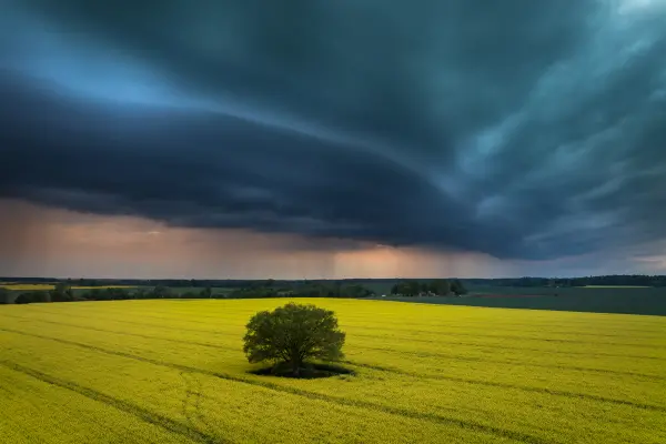 latvianphotographer — Fotogrāfs, Bauska