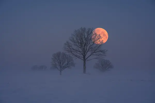 latvianphotographer — Fotogrāfs, Bauska