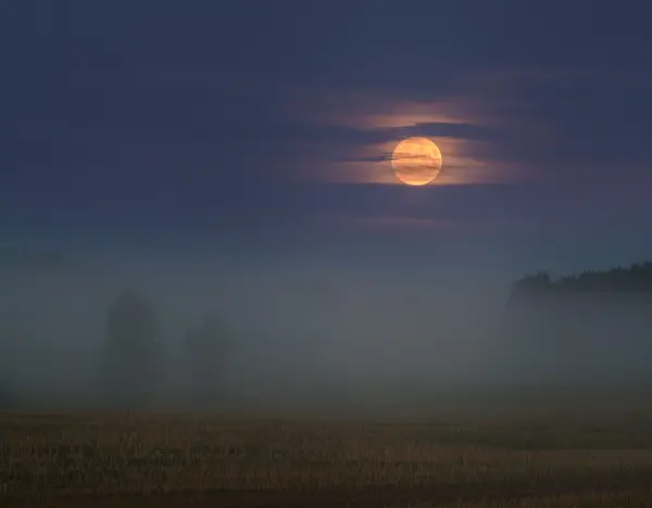 Nordic nature