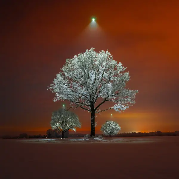 latvianphotographer — Fotogrāfs, Bauska